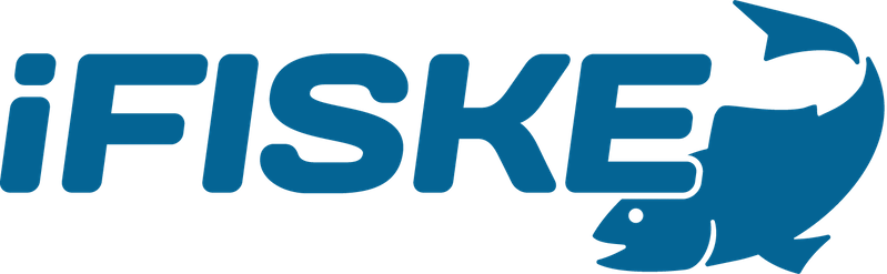 Logo Blue Stor